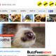 Image for article titled The Best Easter Eggs On The Internet